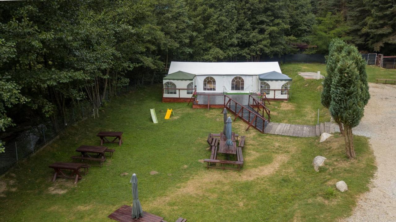 Pensiunea Alpin Paltinis Exterior photo